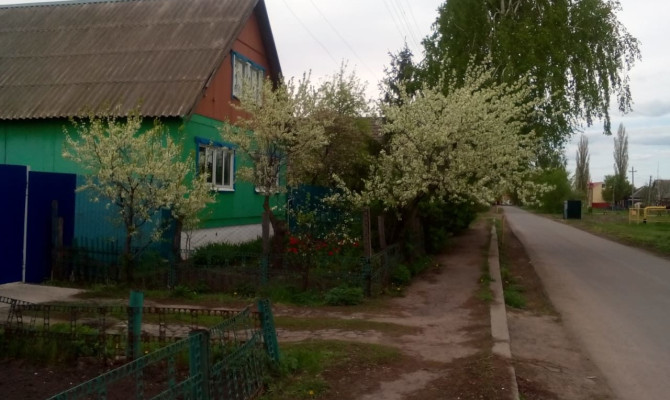 «Не погаснет звезда милосердия»